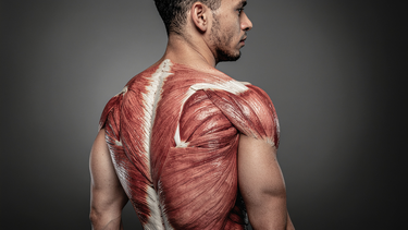 Chuột rút cơ liên sườn: Nguyên nhân, cách xử lý và phòng ngừa hiệu quả