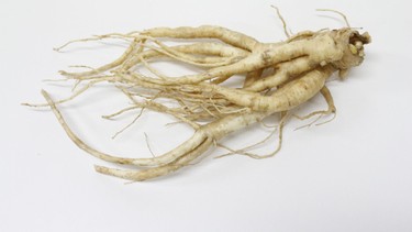 Củ sâm đất: Công dụng, cách dùng và lưu ý khi sử dụng