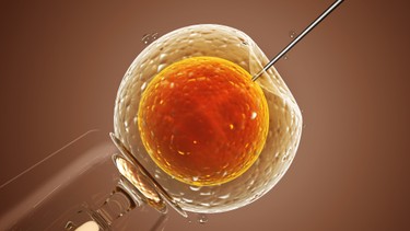 Dấu hiệu IUI thành công sau 10 ngày: Nhận biết sớm, tránh lo lắng!