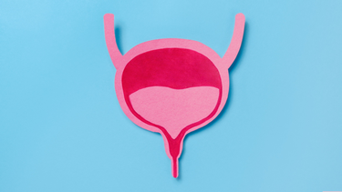 Dấu hiệu sỏi bàng quang ở nữ là gì? Nguyên nhân hình thành sỏi