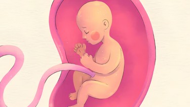 Dây rốn có vai trò gì đối với thai nhi trong bụng mẹ?