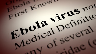 Dịch bệnh Ebola: Triệu chứng, nguyên nhân và cách phòng tránh hiệu quả