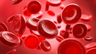 Điện di huyết sắc tố: Khi nào nên thực hiện và cần lưu ý gì?