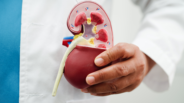 Độ lọc cầu thận bao nhiêu là suy thận? 