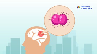 Đối tượng dễ nhiễm viêm não mô cầu: Ai cần chủ động tiêm phòng ngay?