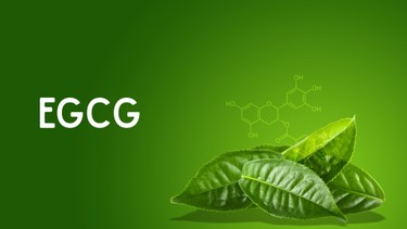 EGCG là gì? Nguồn gốc và cơ chế hoạt động của EGCG trong cơ thể
