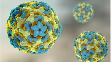 Enterovirus 71 là gì? Cách phòng ngừa để bảo vệ sức khỏe trẻ nhỏ