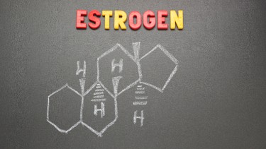 Estrogen là gì? Vai trò và cách cân bằng estrogen an toàn