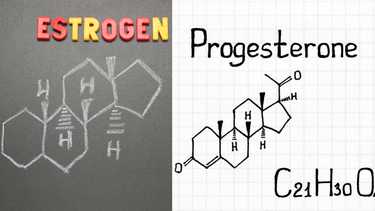 Estrogen và progesterone: Vai trò, sự khác biệt và cách cân bằng hormone nữ