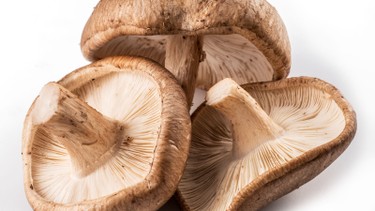 Loại nấm nào nhiều protein nhất? Tại sao protein trong nấm lại quan trọng?