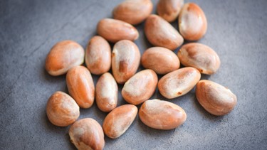 Hạt mít luộc có tác dụng gì? 6 lợi ích và lưu ý cần biết sớm