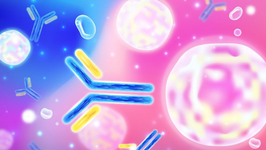 Hiệu giá kháng thể là gì? Khi nào cần kiểm tra hiệu giá kháng thể? 