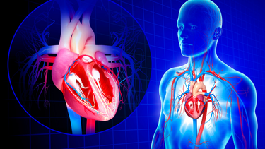 Hở van tim có chữa được không? Tiên lượng, phương pháp điều trị và cách phòng ngừa 