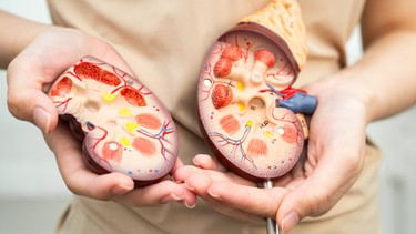 Hội chứng thận hư sống được bao lâu? Các yếu tố ảnh hưởng đến thời gian sống