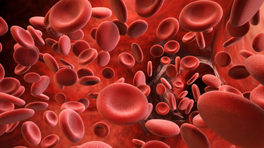 Hội chứng ure máu cao là gì? Triệu chứng bệnh và tác động đối với sức khỏe