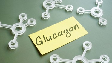 Hormone Glucagon là gì? Vai trò quan trọng trong cân bằng đường huyết