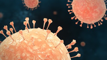 HPV type 56 là gì? Mức độ nguy hiểm và cách phòng ngừa