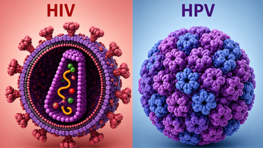 HPV và HIV có giống nhau không? Phân biệt đúng để tránh nhầm lẫn