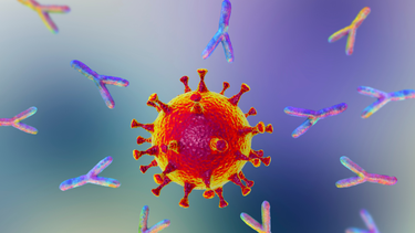 Kháng nguyên và kháng thể: Mối quan hệ, sự khác biệt và phân loại trong hệ miễn dịch