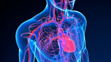 Khí tĩnh mạch cửa là gì? Nguyên nhân, mức độ nguy hiểm và hướng xử trí