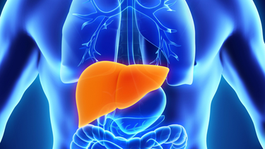 Khối u trong gan có nguy hiểm không? Những điều cần biết