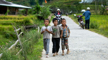 Không tẩy giun có sao không? Tại sao việc tẩy giun định kỳ lại quan trọng?