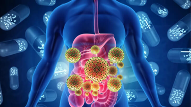 Ký sinh trùng đường ruột là gì? Cách phòng ngừa hiệu quả