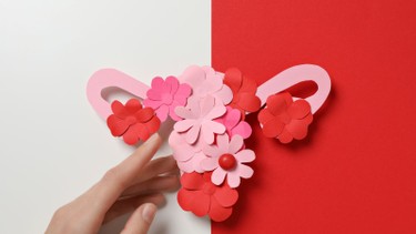 Làm sao để tăng nội tiết tố, giảm khô hạn một cách an toàn và tự nhiên? Vai trò của nội tiết tố nữ