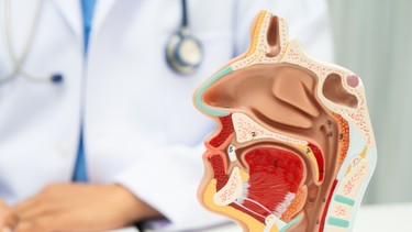 Lệch vách ngăn mũi: Dấu hiệu, nguyên nhân, phương pháp chẩn đoán, điều trị và phòng ngừa
