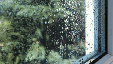 Mùa nồm là gì ? Các bệnh thường gặp vào mùa nồm