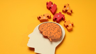 Não phải là gì? Đặc điểm của người thiên về não phải