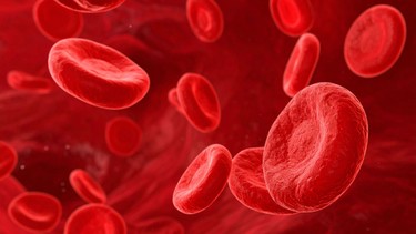 Nguyên nhân bạch cầu tăng tiểu cầu giảm là gì? Những điều cần lưu ý