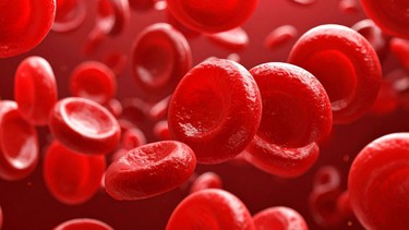 Nguyên nhân giảm tiểu cầu là gì? Cách điều trị