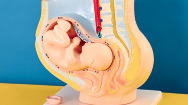 Nhau bám thấp​ có nguy hiểm không?