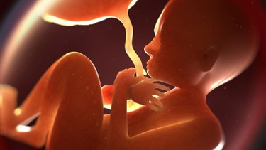 Nhau thai bám mặt sau có nguy hiểm không?