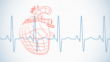 Nhịp tim bao nhiêu là nguy hiểm? Những bất thường nhịp tim thường gặp