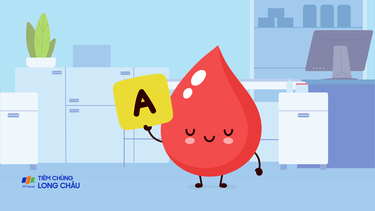 Nhóm máu A có hiếm không? Nhóm máu A tác động đến tính cách và chế độ ăn uống như thế nào?