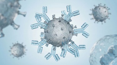 Nhóm máu O có kháng thể gì? Một số điều bạn cần biết trước khi truyền máu