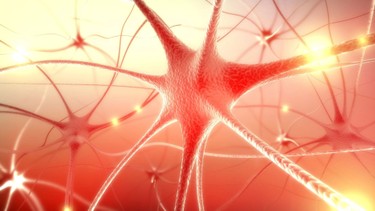 Dây thần kinh số 12 là gì? Cấu tạo, chức năng và bệnh lý thường gặp