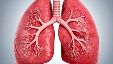 Những triệu chứng phổi có nước và cách xử trí, phòng ngừa khi phổi chứa nước