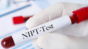 NIPT 3 là gì? Ý nghĩa của NIPT 3 trong sàng lọc trước sinh