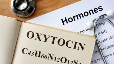 Oxytocin là gì? Tác động của oxytocin đến cơ thể và tâm lý