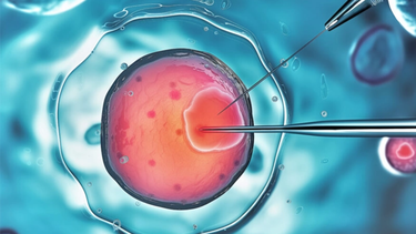 Phôi loại 3 có tốt không? Những điều cần biết về phôi loại 3