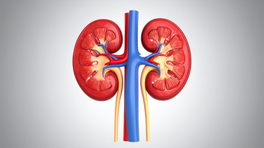 Phù mặt do suy thận là gì? Dấu hiệu cảnh báo và cách nhận biết sớm