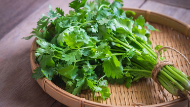 Rau mùi và những công dụng tuyệt vời đối với sức khỏe