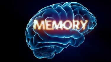 Suy giảm trí nhớ ngắn hạn: Nguyên nhân, dấu hiệu và cách phòng ngừa
