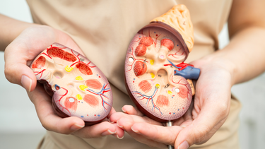 Suy thận có ăn được thịt gà không? Hiểu đúng để ăn uống an toàn cho thận