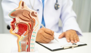 Tai mũi họng là gì? Phân tích cấu tạo và vai trò của tai mũi họng