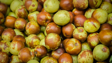 Táo tàu và những giá trị dinh dưỡng ít người biết đến