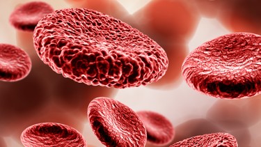 Tế bào máu là gì? Vai trò và phân nhóm chính